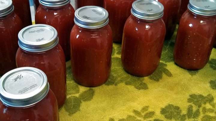 12 Extra Special Tomato Puree Substitute To Impress Your Son