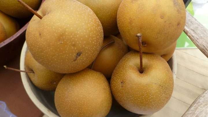 14 Best Asian Pear Substitute For Bulgogi Or Other Meats