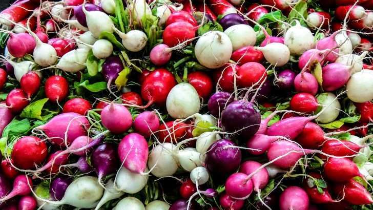 What Do Radishes Taste Like: Exploring Flavor and Texture