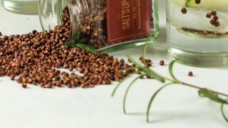 10 Great Grains of Paradise Substitutes For Your Recipes