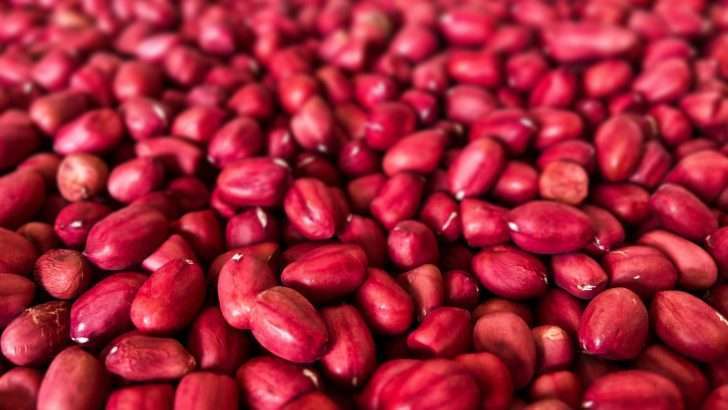 What Do Red Beans Taste Like?